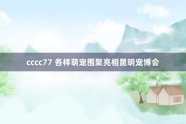cccc77 各样萌宠围聚亮相昆明宠博会