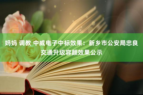 妈妈 调教 中威电子中标效果：新乡市公安局忠良交通升级容颜效果公示