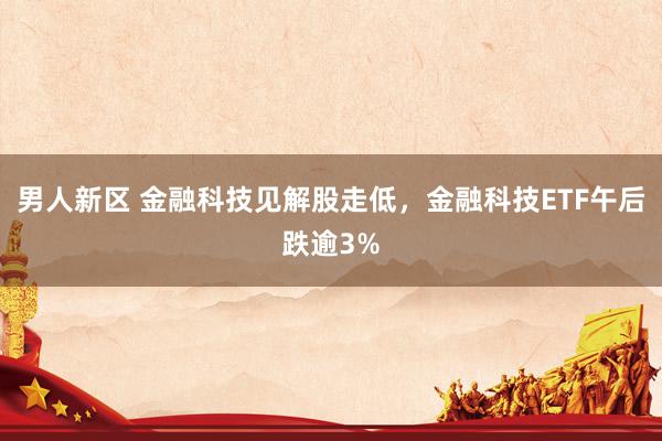 男人新区 金融科技见解股走低，金融科技ETF午后跌逾3%